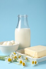 Fresh dairy products and chamomile flowers on light blue background, closeup