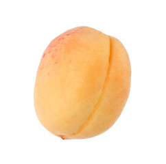 One fresh ripe apricot isolated on white