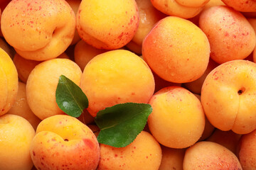 Fresh ripe sweet apricots and green leaves as background, top view