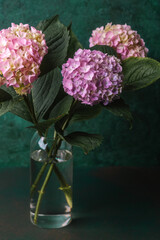  Hydrangea bouquet in minimalist clear vase with copy space – useful for editorial design, eco lifestyle, or floral branding concepts.