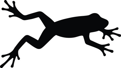 Silhouette frog isolated on white background amphibian vector illustrator