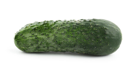 One fresh green cucumber isolated on white