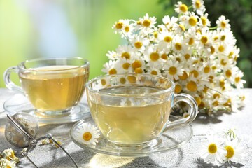 Tasty chamomile tea, infuser and flowers on light grey table, closeup