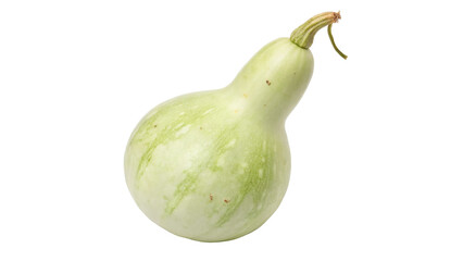 calabash bottle gourd isolated on transparent background 