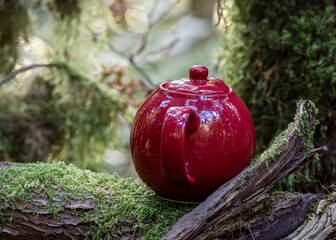 Teapot in the Forest – Teapot Hill, Chilliwack, BC, Magical Forest wonderland