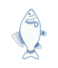A sea fish in blue color
