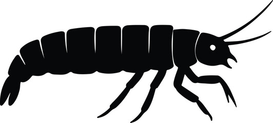 Silhouette Woodlouse Isopod black and white vector illustrator