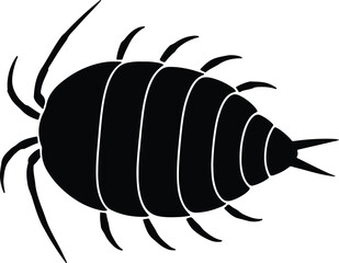 Silhouette Woodlouse insect black and white simplistic vector illustrator