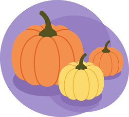 Three pumpkins in various sizes displayed against a muted purple background. Autumnal gourds in a flat lay style.