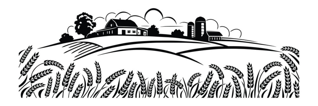 Sketch of a rural landscape, farm and wheat field, agriculture and harvest, black isolated silhouette on white background, vector illustration