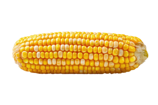 Close-up of a whole corn cob, displaying rows of kernels in yellow and creamy-white hues.  The cob is oriented horizontally