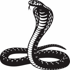 Fototapeta premium Coiled Cobra Snake with Hood Silhouette