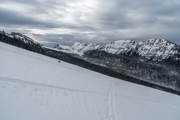 Hiver en Chartreuse sur les pentes du Grand Manti , isère , France