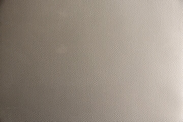 Detailed Leather Surface Background