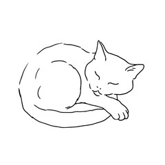Sleeping cat, black and white ink sketch. Vector illustration. The silhouette is made in a simple linear style. The theme of animals, veterinary clinics, animal feed and for printing