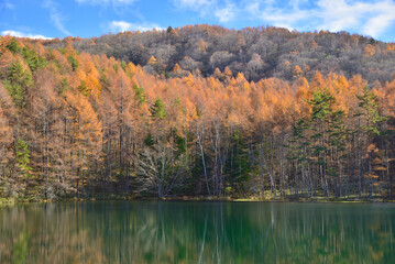 錦秋の御射鹿池　水鏡に映る紅葉