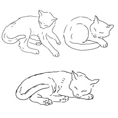 Cats in different poses, black and white ink sketch. Vector illustration. The set of silhouettes is made in a simple linear style, on a white background. The theme of animals, veterinary clinics