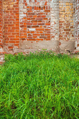 Green grass contrasts rough facade of the old red brick wall with weathered texture
