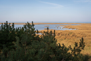 Golden Fields by Baltic Shore, Western Pomeranian Lagoons National Park, Germany
