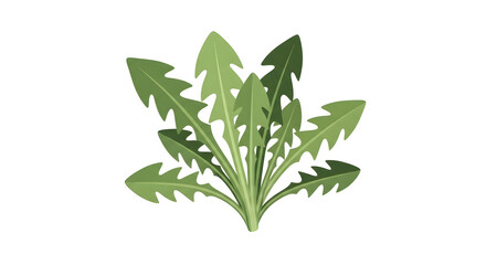 Fototapeta premium Green Dandelion Leaves Plant Illustration
