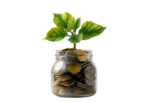 Financial growth, investment, savings concept.