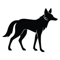 Black silhouette of a coyote standing on a white background animal wild