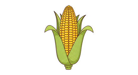 Obraz premium Fresh Corn on the Cob Illustration