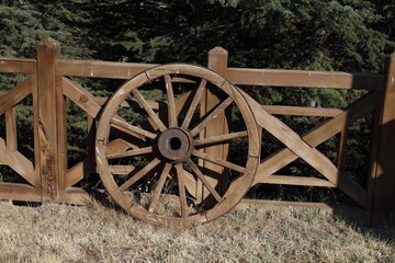Obraz premium wheel, old, wooden, wood, cart, wagon, vintage, antique, carriage, country, transportation, rustic, rural, farm, ancient, history, spokes, grass, wheels, retro, round, wall, barn, aged, western