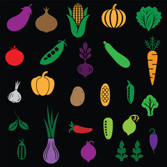 carrot, potato, tomato, onion, garlic, broccoli, cauliflower, spinach, kale, lettuce, cabbage, cucumber, zucchini, eggplant, bell pepper, chili pepper, beetroot, radish, turnip, pumpkin, squash, 