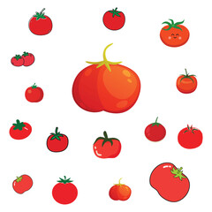carrot, potato, tomato, onion, garlic, broccoli, cauliflower, spinach, kale, lettuce, cabbage, cucumber, zucchini, eggplant, bell pepper, chili pepper, beetroot, radish, turnip, pumpkin, squash, 