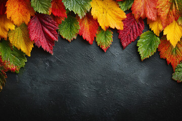 Row of bright autumn leaves on black textured surface