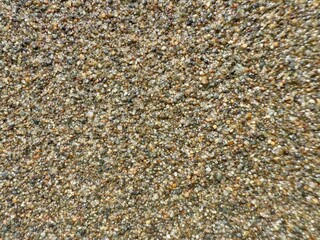 closeup of colorful wet beach sand grains with natural texture and glistening light for background design or organic packaging mockup

