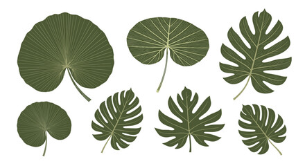 Obraz premium Collection of various green tropical leaf illustrations with detailed vein patterns for decorative design and botanical art