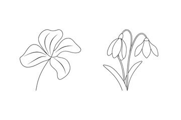 Delicate flower and snowdrop line art bloom botanical