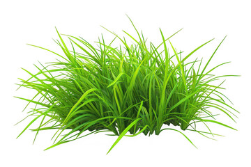 Vibrant green aquatic plant bush png image for aquarium decoration and design elements, fresh water plants, isolated on transparent background