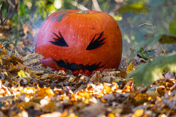 Spooky carved pumpkin resting among autumn leaves in a forest setting