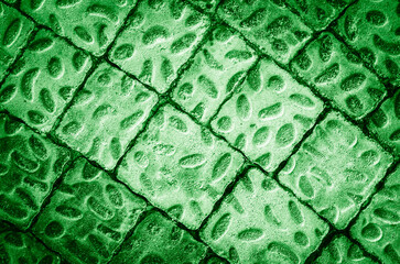 Close-up of green paving slabs with oval protrusions. Paving slabs background texture