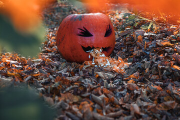 Creative pumpkin with an open mouth surrounded by autumn leaves