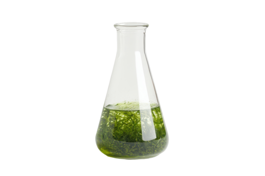 Flask with green liquid and plant material isolated on transparent. Sharp and vibrant green liquid in a glass flask symbolizing innovation in scientific research isolated on white background.