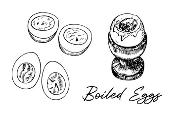 Boiled egg in an egg cup, holder, boiled egg cut in half set. Healthy breakfast meal sketch drawing, outline illustration. Hand-drawn vector line art clipart isolated on a white background