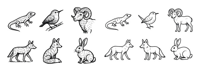 Canyoneering Wildlife Icons