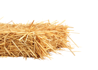 Golden straw bale isolated on a transparent background agriculture farm