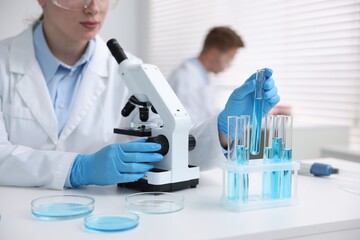 Fototapeta premium Medical analysis. Scientist working with sample in laboratory, selective focus