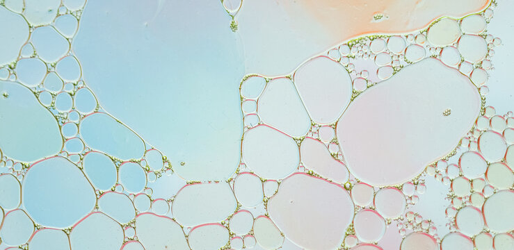Soft pastel oil bubbles abstract texture in macro view. Delicate macro image of pastel-colored oil bubbles in water with a dreamy blue and pink gradient and organic cellular structure.