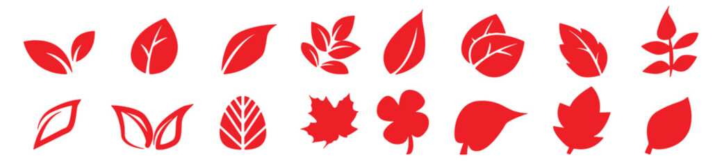 Botanical Leaf Icons | Flat and Outline Vector Set of Nature Elements