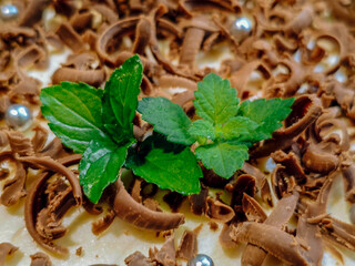 Fresh mint leaves on a bed of chocolate shavings and cream
