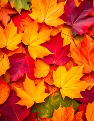Autumn leaves background