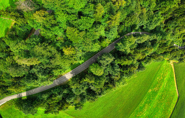 Strasse von oben aus der Luftperspektive in einem Waldst&uuml;ck, Schweiz, August 2025