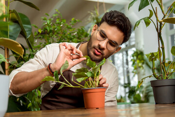 Fototapeta premium Young man in eyeglasses working in the flower shop and looking busy