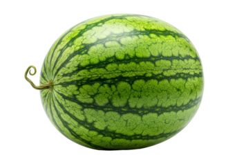 A perfectly ripe watermelon with vibrant emerald green rind and dark forest green stripes, a small curled stem on its left, on a pristine transparent studio background with no shadows, concept for